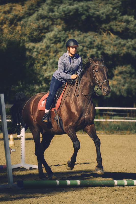 Sport jazda konna skoki arena — fotografia Maciej Zawiasa