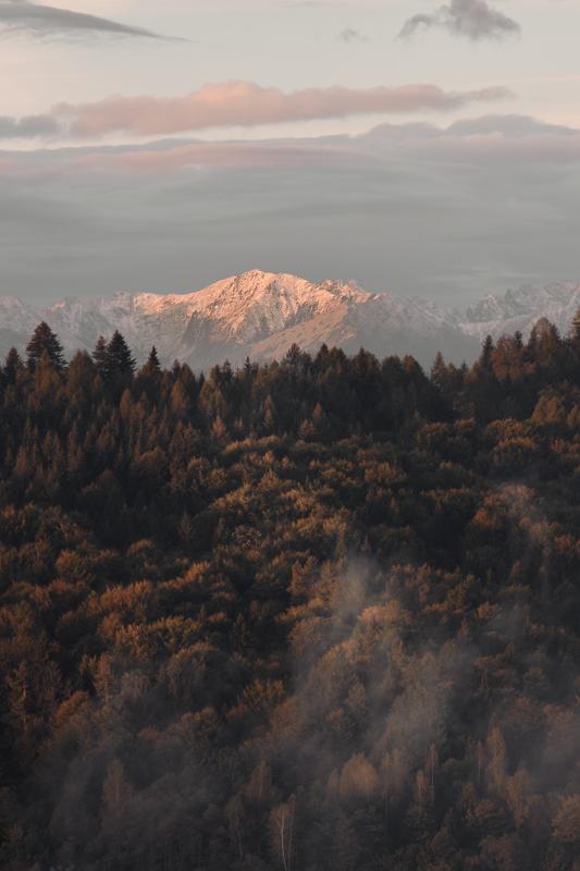 Tatry czorsztyn jesien las mgla — fotografia Maciej Zawiasa
